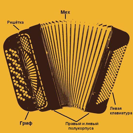 Баян и аккордеон отличия фото
